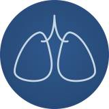 Logo Kinderarzt, Facharzt für Kinder- und Jugendmedizin  : Prof. Dr. med. Frank-Michael Müller, Privatpraxis Pneumologie, Allergologie & Infektiologie, für Kinder, Jugendliche u. Erwachsene, Ahrensburg