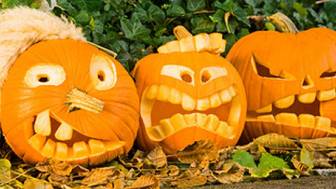 So wird die Halloween-Party für Kinder zum Erfolg