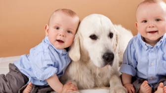 Haustiere stärken die Immunabwehr bei Kindern