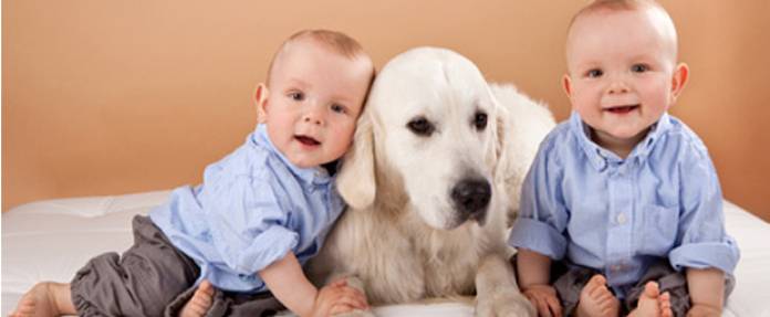 Haustiere stärken Immunabwehr bei Kindern
